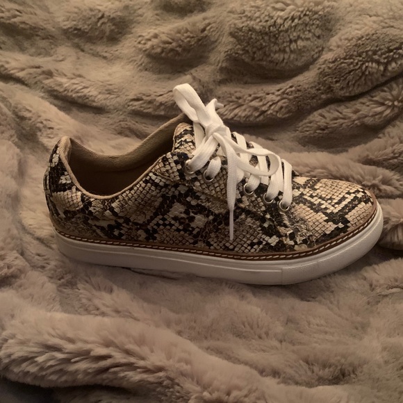 Steve Madden Santana Sneakers - Picture 2 of 5